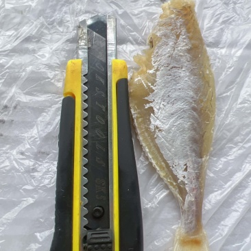 中号剥皮鱼干地摊电商批发剥皮鱼干目肉鱼干干鱼