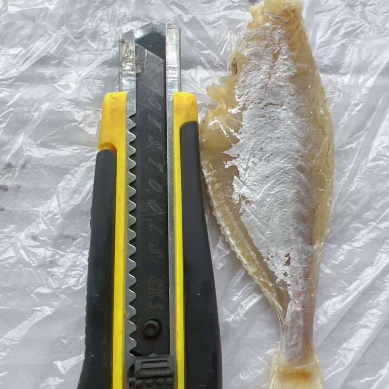 中号剥皮鱼干地摊电商批发剥皮鱼干目肉鱼干干鱼