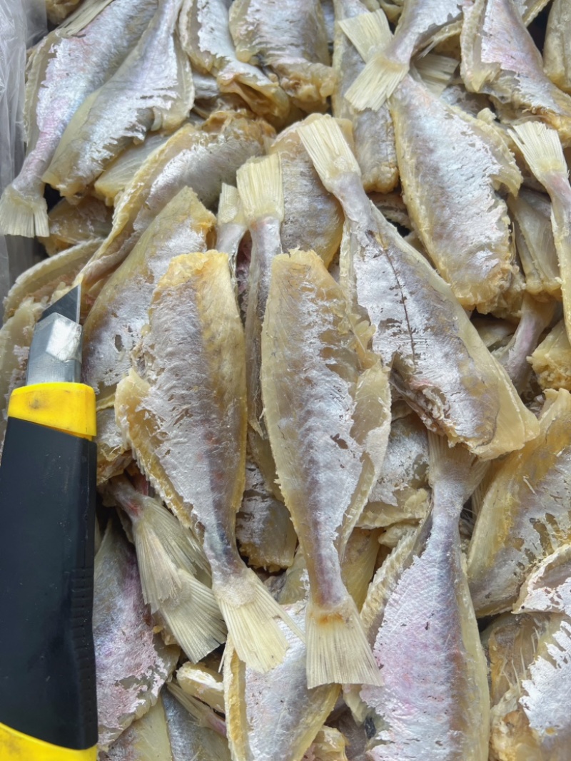 中号剥皮鱼干地摊电商批发剥皮鱼干目肉鱼干干鱼