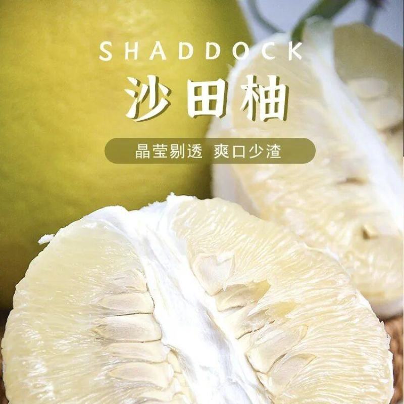 【正宗梅州沙田柚】香甜可口，柚中精品