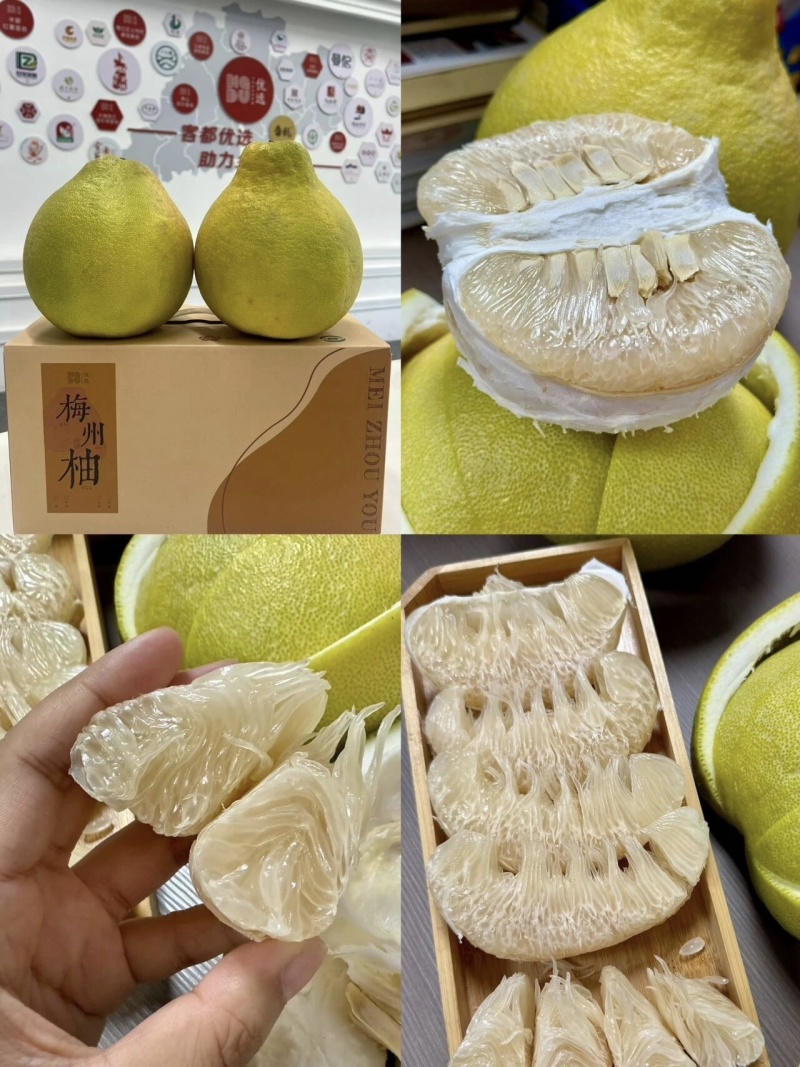 【正宗梅州沙田柚】香甜可口，柚中精品