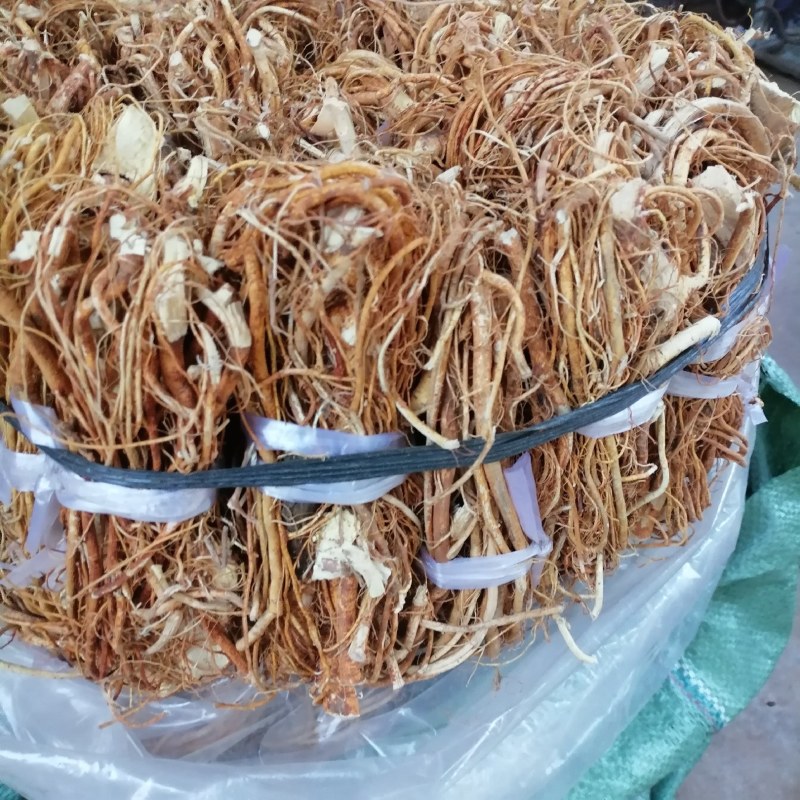 广东五指毛桃品质保证全干无硫香味十足