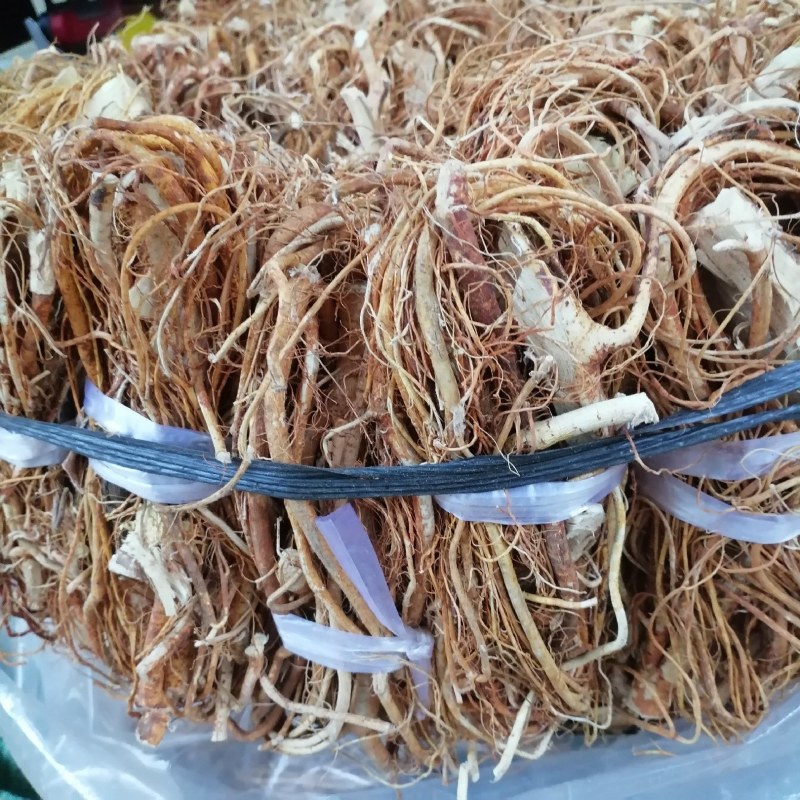 广东五指毛桃品质保证全干无硫香味十足