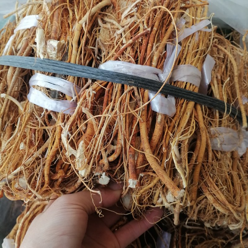 广东五指毛桃品质保证全干无硫香味十足