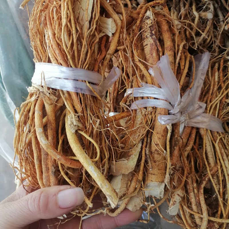 广东五指毛桃品质保证全干无硫香味十足