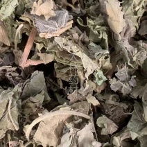 芙蓉叶【包邮】三斤起发货可批量可零售量大从优
