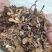 野生榛蘑.自然干烘干各种规格品种齐全