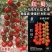 红贝瀑布樱桃番茄种子串收小圣女果种子无限生长型水果小番茄