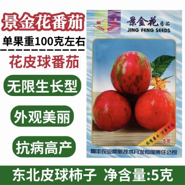 景丰景金花番茄种子花皮球番茄种籽无限生长型水果番茄种子