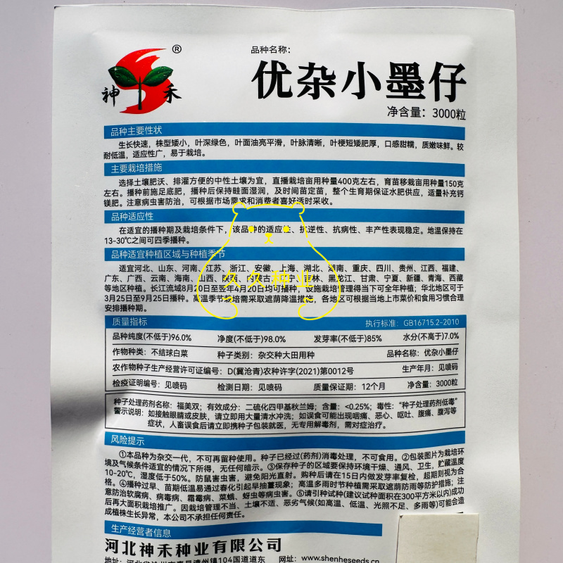 优杂小墨仔青梗绿叶青菜种子叶面叶梗肥厚耐低温矮脚青梗菜种