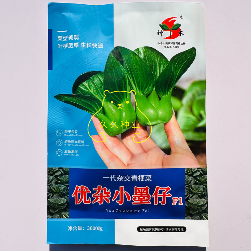 优杂小墨仔青梗绿叶青菜种子叶面叶梗肥厚耐低温矮脚青梗菜种