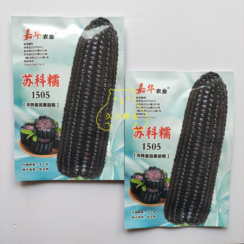 苏科糯1505黑甜糯玉米种子高产早熟黑粘糯玉米鲜食苞米