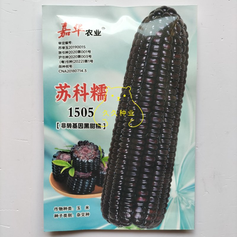 苏科糯1505黑甜糯玉米种子高产早熟黑粘糯玉米鲜食苞米