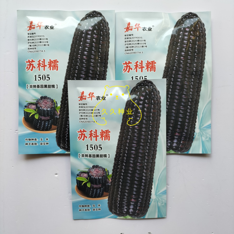 苏科糯1505黑甜糯玉米种子高产早熟黑粘糯玉米鲜食苞米