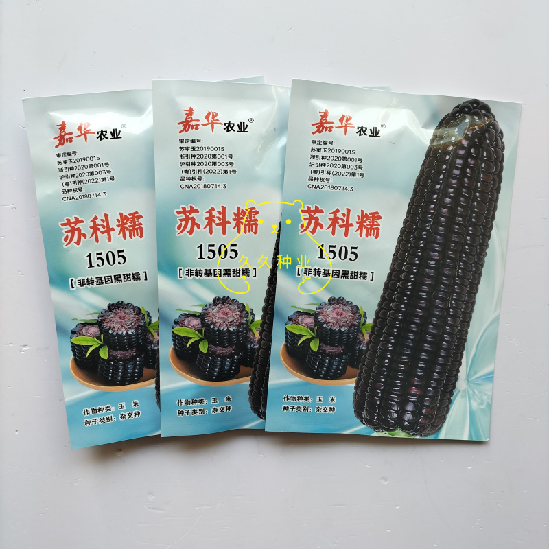 苏科糯1505黑甜糯玉米种子高产早熟黑粘糯玉米鲜食苞米