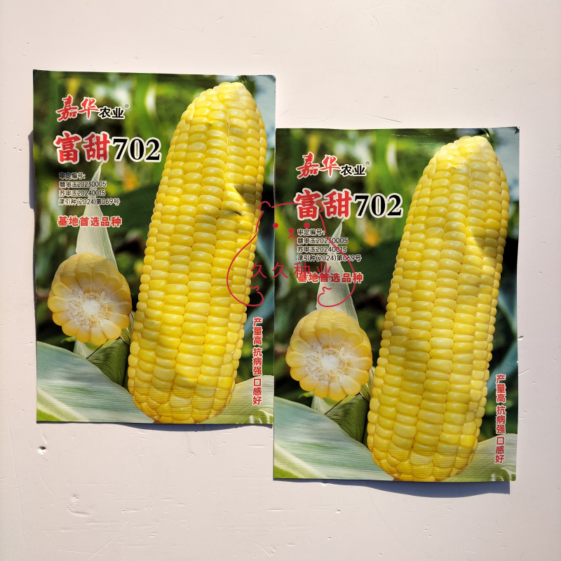 嘉华富甜702水果玉米种子口感好甜脆鲜食黄粒玉米种籽抗病