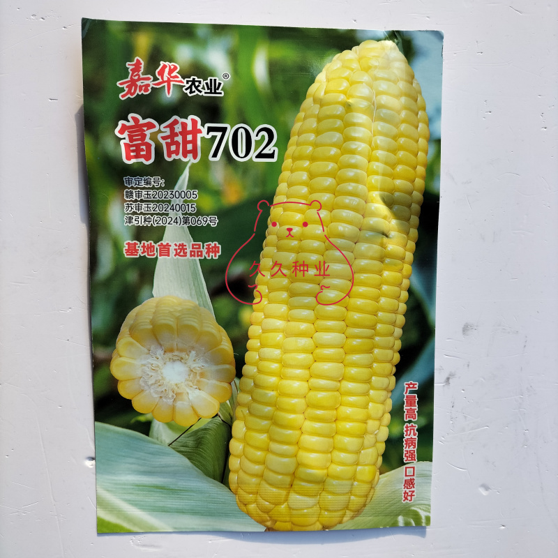 嘉华富甜702水果玉米种子口感好甜脆鲜食黄粒玉米种籽抗病