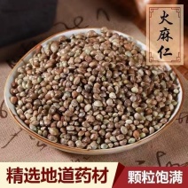 火麻仁中药材大粒火麻仁籽药大全批发零售货真价实