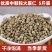 火麻仁中药材大粒火麻仁籽药大全批发零售货真价实