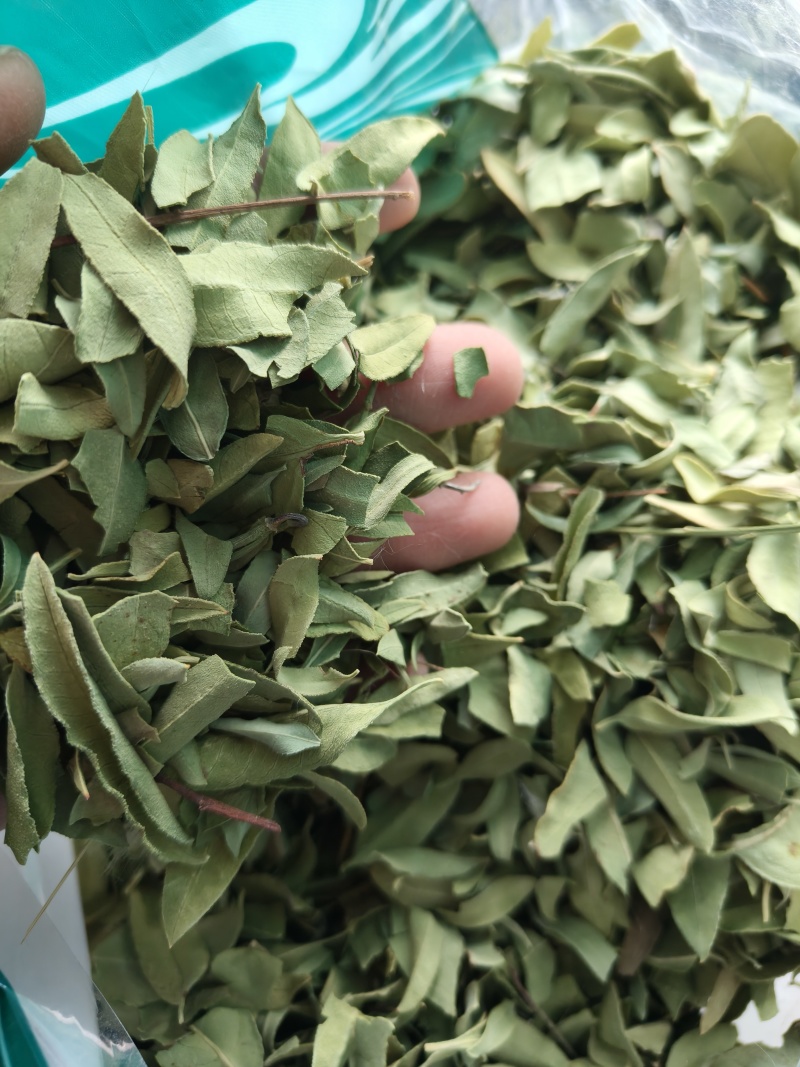 罗布麻实物拍摄祥泰药材栈中药材批发零售实物拍摄量多从优
