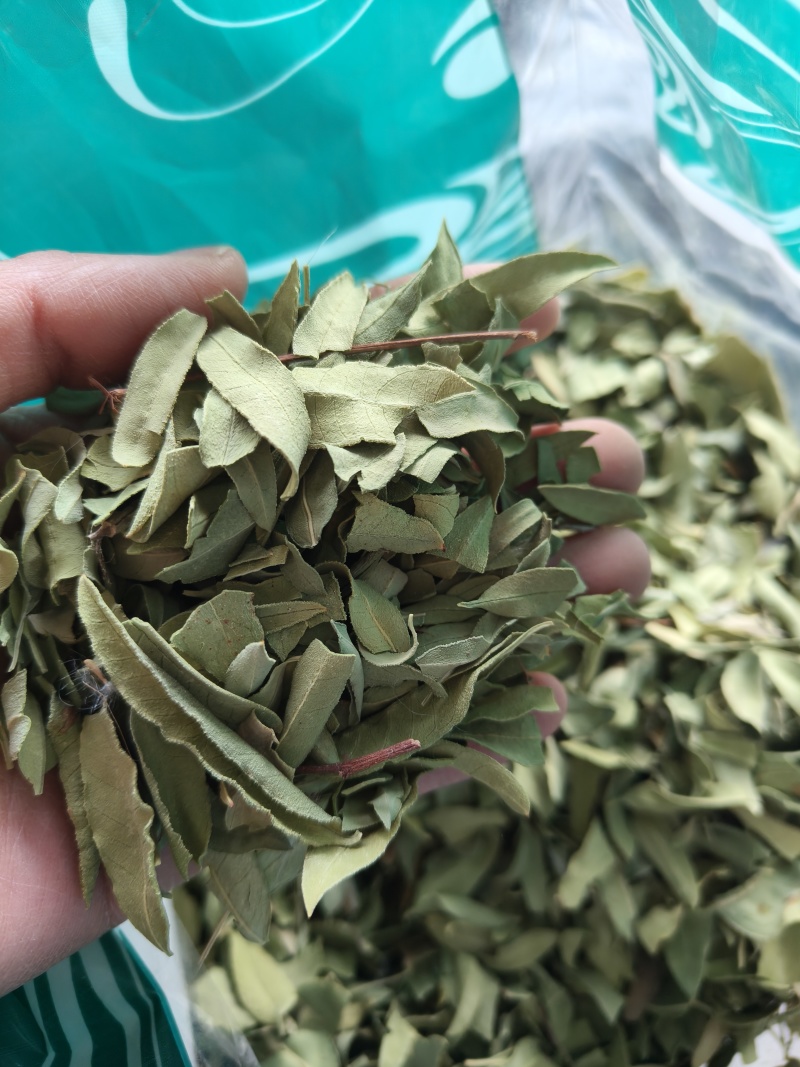 罗布麻实物拍摄祥泰药材栈中药材批发零售实物拍摄量多从优