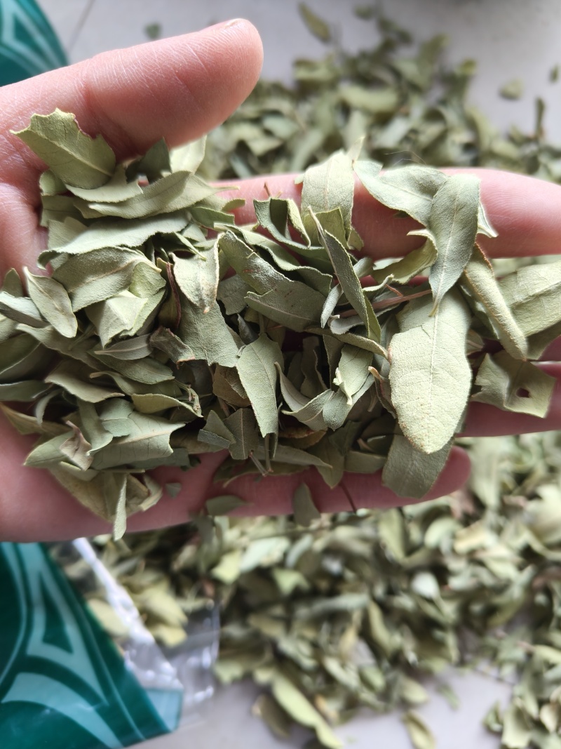 罗布麻实物拍摄祥泰药材栈中药材批发零售实物拍摄量多从优