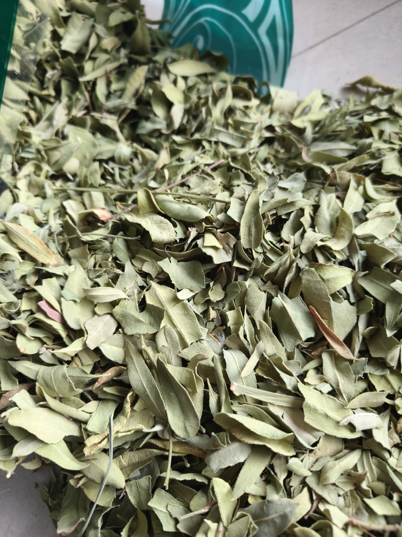 罗布麻实物拍摄祥泰药材栈中药材批发零售实物拍摄量多从优