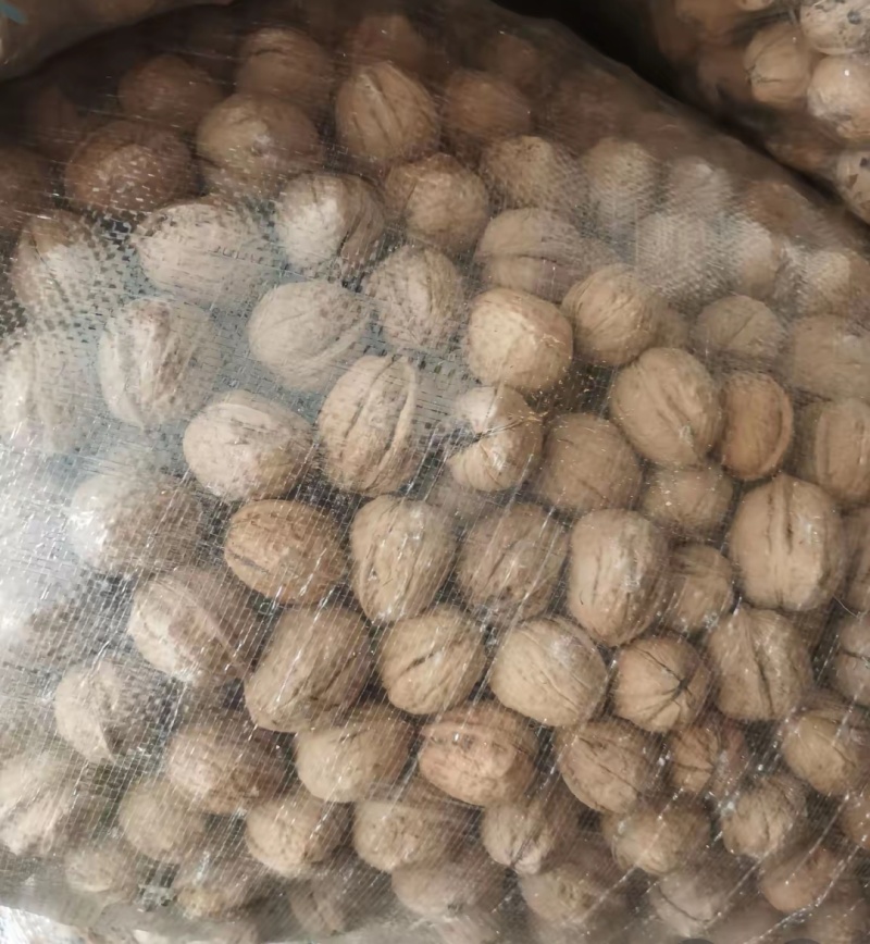 核桃薄皮纸皮干核桃果仁饱满白仁为主薄皮纸皮干核桃薄皮纸皮