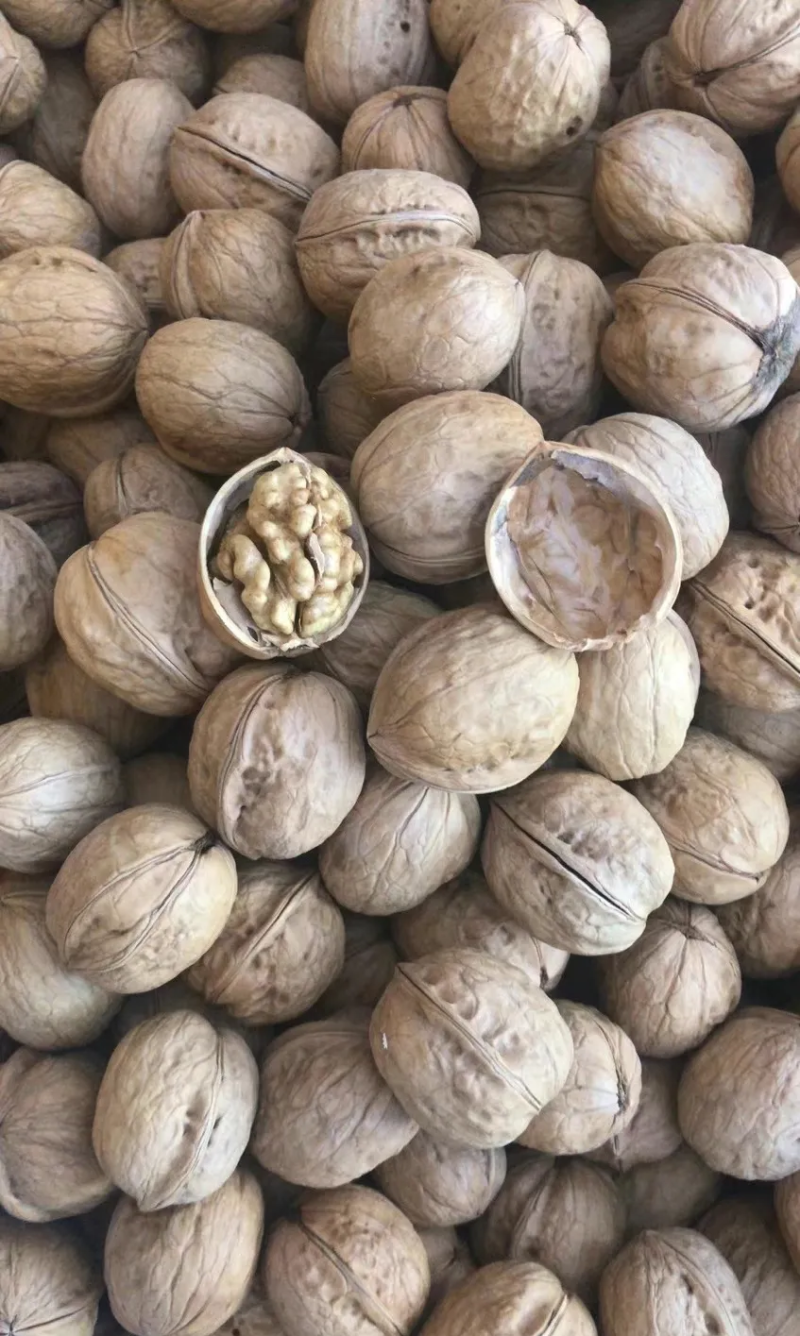 核桃薄皮纸皮干核桃果仁饱满白仁为主薄皮纸皮干核桃薄皮纸皮