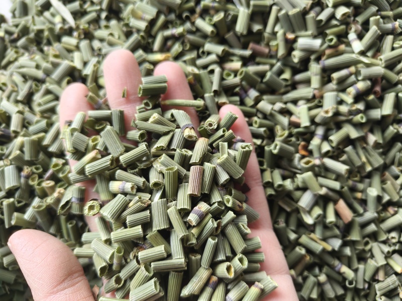 木贼祥泰药材栈中药材批发零售实物拍摄量多从优欢迎咨询