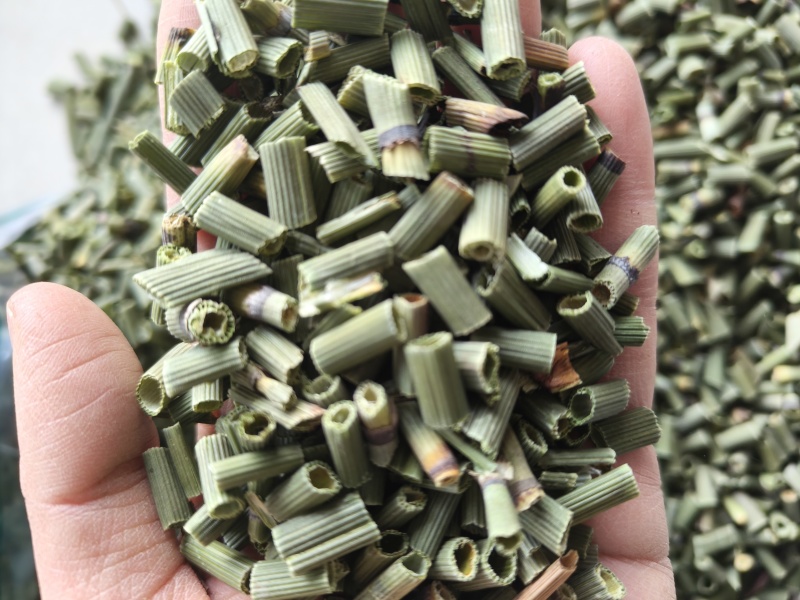 木贼祥泰药材栈中药材批发零售实物拍摄量多从优欢迎咨询