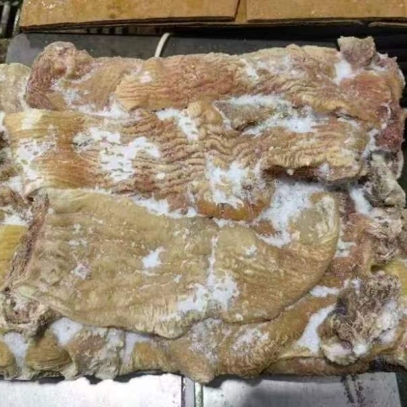 牛散带，牛碗口，长年有货，量大从优，欢迎各位老板光临！