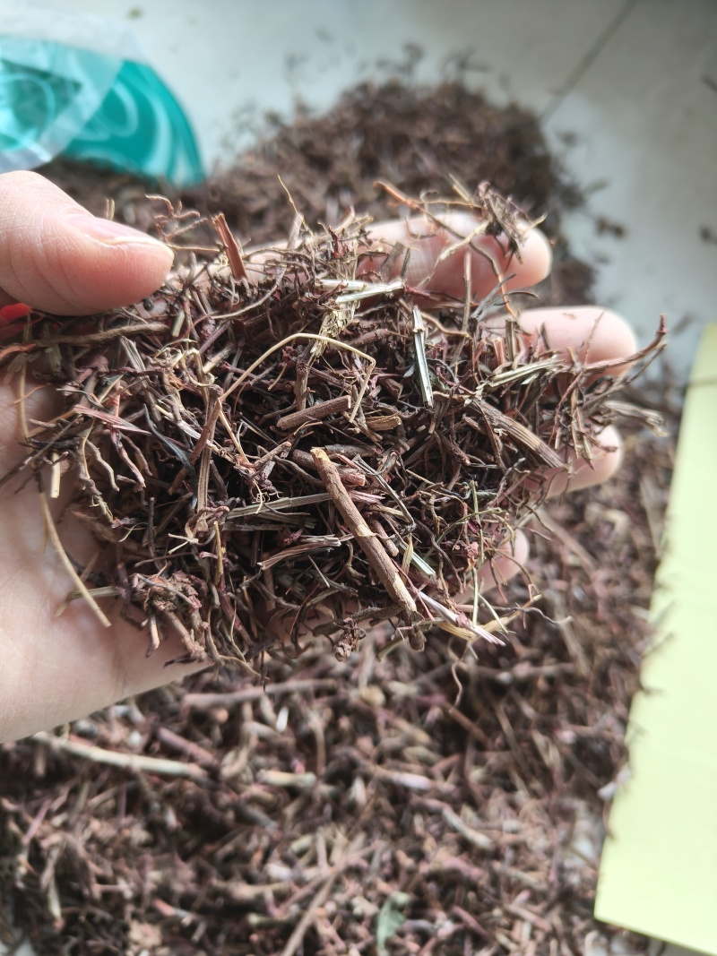 茜草统货祥泰药材栈中药材批发零售实物拍摄量多从优欢迎
