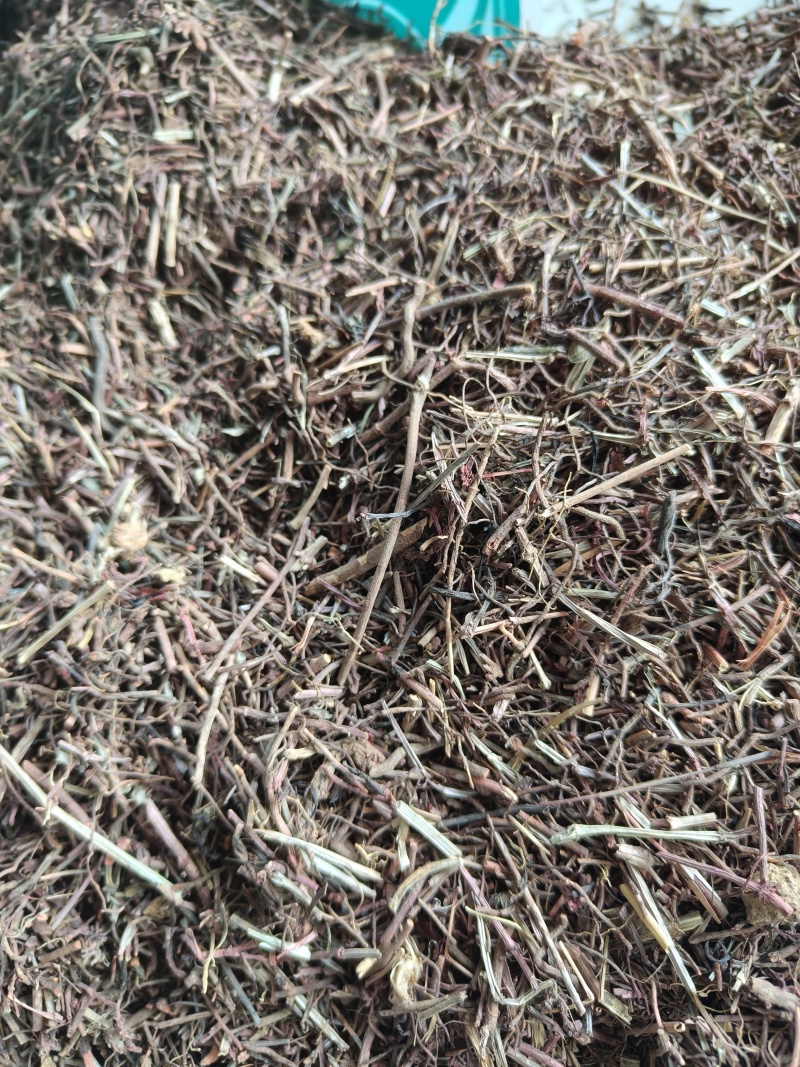 茜草统货祥泰药材栈中药材批发零售实物拍摄量多从优欢迎