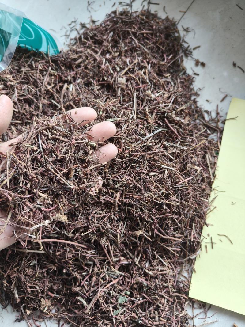 茜草统货祥泰药材栈中药材批发零售实物拍摄量多从优欢迎