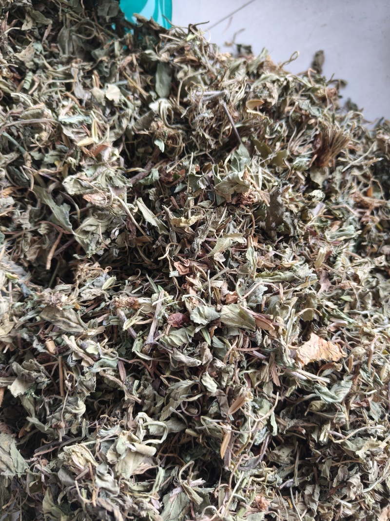 紫花地丁地丁祥泰药材栈中药材批发零售实物拍摄量多从优