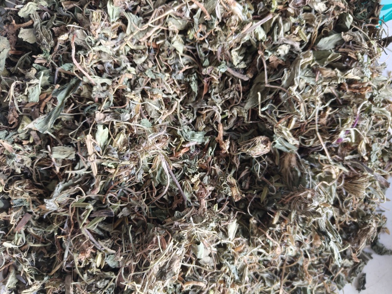 紫花地丁地丁祥泰药材栈中药材批发零售实物拍摄量多从优