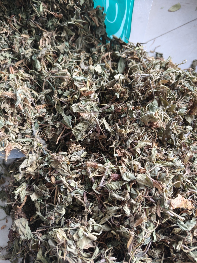 紫花地丁地丁祥泰药材栈中药材批发零售实物拍摄量多从优