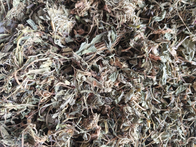 紫花地丁地丁祥泰药材栈中药材批发零售实物拍摄量多从优