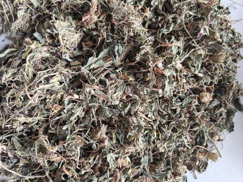 紫花地丁地丁祥泰药材栈中药材批发零售实物拍摄量多从优