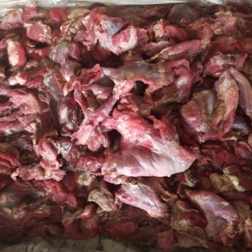 牛碎肉块，长年有货，一件代发，量大从优，欢迎光临！