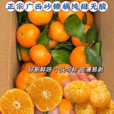 【电商】武鸣沙糖桔支持各大电商平台多多仓产地直发