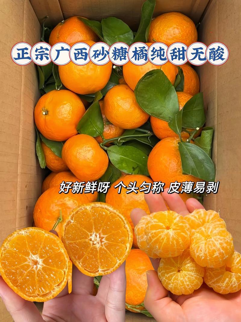 【电商】武鸣沙糖桔支持各大电商平台多多仓产地直发