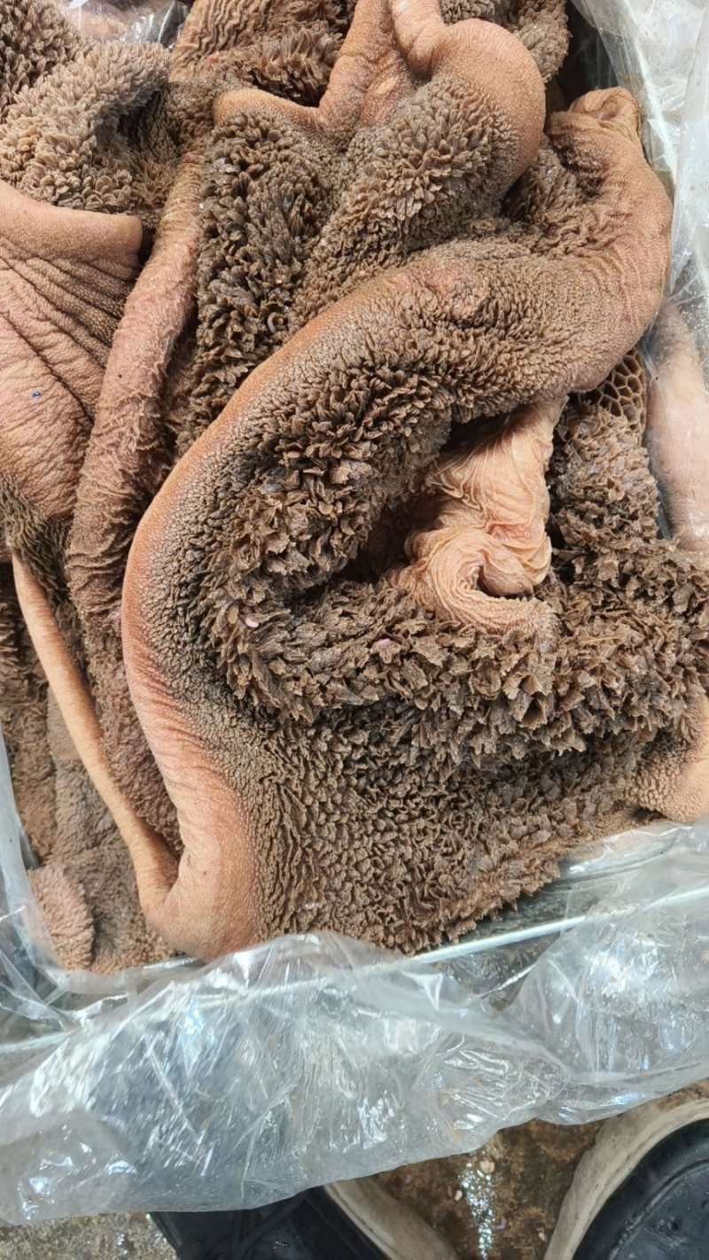 牛肚牛百叶牛鞭牛副产品