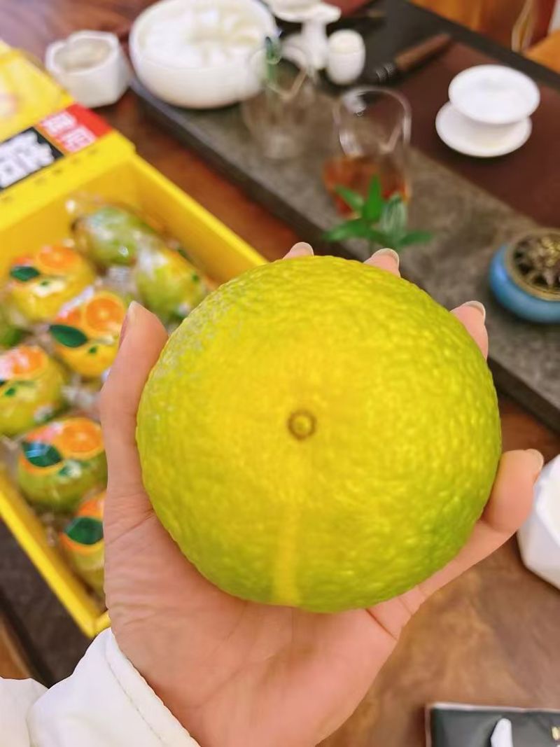 建阳特产，源头厂家直销，价格优惠，8以上精品果，水分充足