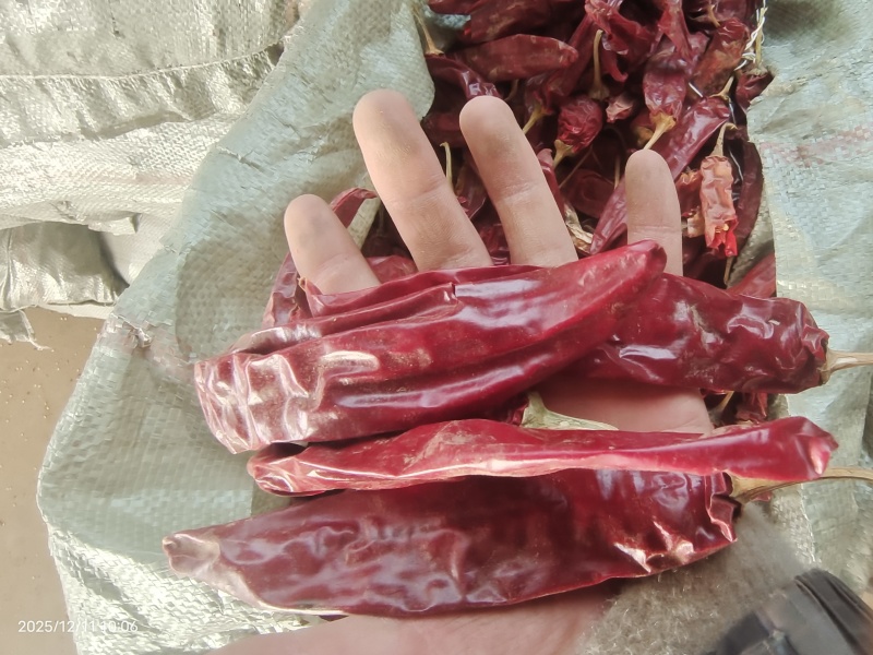 精品红龙23干辣椒，上色红干辣椒，高色价里外红，人工去把