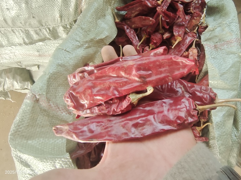 精品红龙23干辣椒，上色红干辣椒，高色价里外红，人工去把