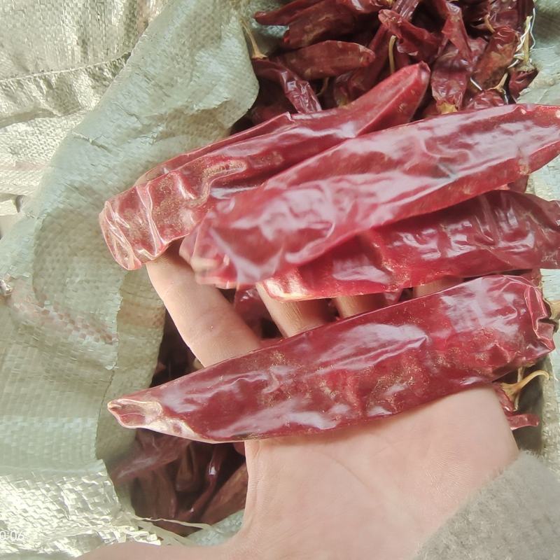精品红龙23干辣椒，上色红干辣椒，高色价里外红，人工去把