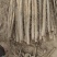 西施山药二货