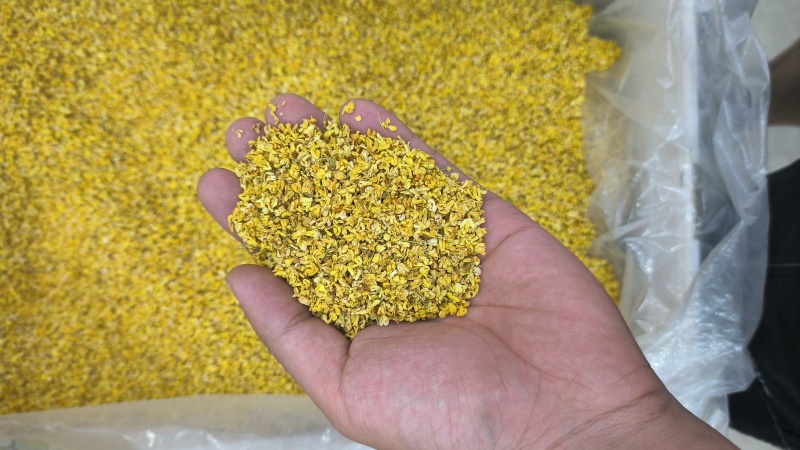 桂花干桂花桂花茶无硫质量保证批发零售各种花茶